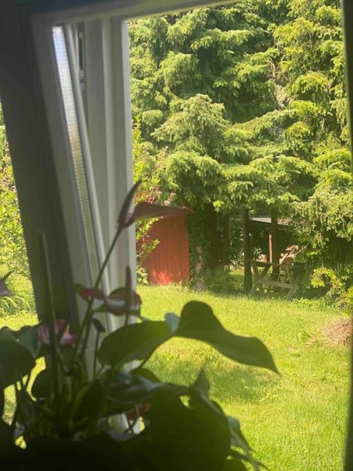 Familienfreundliches Landhaus "Karin" Mit Pool Struppen Экстерьер фото